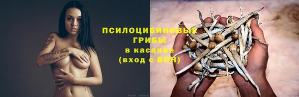 apvp Ханты-Мансийск