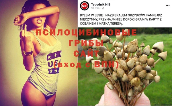 apvp Ханты-Мансийск