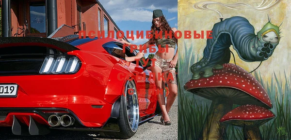 молекула духа Усинск