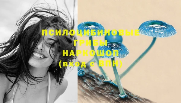 каннабис Хадыженск